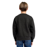 Youth Essential Crew Sweatshirt 303 — Charcoal Heather (back)