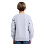 Youth Essential Crew Sweatshirt 303 — Heather Grey (back)
